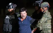 Tổng thống Mexico ca ngợi lực lượng cảnh sát sau vụ bắt trùm ma túy