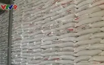 Nỗi lo thiếu nguồn nguyên liệu cho các nhà máy đường