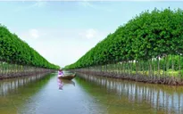Những tỉ phú giàu lên từ đất hoang miền Tây