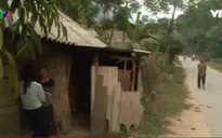 Hoạt động mua bán người ngày càng tinh vi, phức tạp