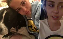 Miley Cyrus khóc như mưa khi Donald Trump đắc cử Tổng thống