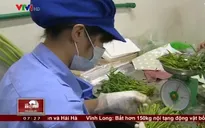 Quy trình sản xuất thực phẩm sạch online gây sốt trên thị trường