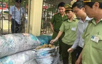 Bắt thêm một vụ mỡ bẩn tại Thanh Hóa