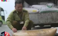 Bắt giữ 1,5 tấn mỡ bẩn tại Hà Nội