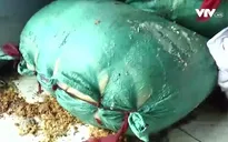 Đà Nẵng: Phát hiện kho hàng chứa gần 5 tấn mỡ bẩn