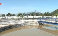 Đà Nẵng tăng cường xử lý điểm nóng về môi trường