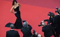 Ngắm dàn sao "đốt cháy" thảm đỏ Cannes 2016