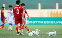 Chú chó làm loạn giải U19 QG - hình ảnh thể thao ấn tượng nhất tuần