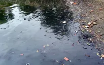 Các hồ ở Hà Nội vẫn đang bị ô nhiễm