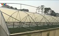 Mưa đá, lốc xoáy quét qua Đà Lạt