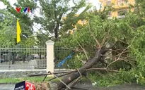Mưa bão gây thiệt hại tại các địa phương