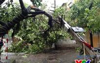 Hà Nội: Bão số 1 "quật đổ" nhiều phương tiện