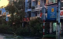 TP.HCM: Mưa lớn kèm giông lốc, nhiều cây xanh gãy đổ