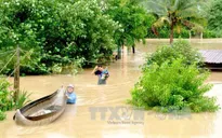 Bình Định: Thiệt hại sau lũ hàng chục tỷ đồng