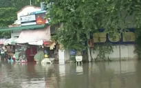 Bình Thuận thiệt hại nặng do mưa lũ