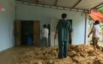 12 người thiệt mạng, mất tích và bị thương do mưa lũ