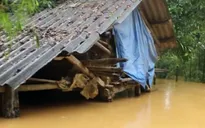 Mưa lũ gây thiệt hại nặng nề về nông nghiệp tại Hà Tĩnh