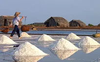 ĐBSCL: Muối tồn đọng nhiều, diêm dân gặp khó