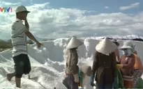 Các địa phương ven biển Nam Trung Bộ đề xuất mua tạm trữ muối
