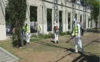 Argentina nỗ lực ngăn chặn bệnh sốt xuất huyết