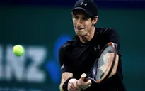 Dễ dàng vượt qua Goffin, Murray thẳng tiến vào bán kết Thượng Hải Masters