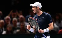 Vào chung kết Paris Masters, Murray soán ngôi của Djokovic