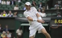 Dễ dàng vượt qua Berdych, Murray chạm trán Raonic tại chung kết Wimbledon 2016