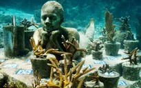 Jason deCaires Taylor - nghệ sĩ điêu khắc của đại dương