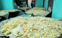 Nguy cơ mai một làng nghề truyền thống mứt gừng Kim Long, Huế