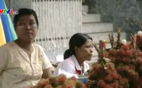 Nông nghiệp sẽ là ưu tiên của Chính phủ Myanmar