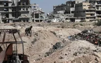 HĐBA LHQ họp khẩn về vụ không kích của liên quân tại Syria