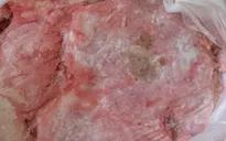 Hà Nội: Bắt giữ hơn 1 tấm nầm lợn không rõ nguồn gốc đang trên đường tiêu thụ