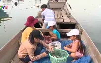 Con em ngư dân đối diện nguy cơ thất học trước thềm năm học mới
