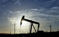 Giá dầu giảm trước thềm phiên họp của OPEC