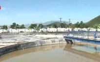 Đà Nẵng: Nhiều doanh nghiệp vi phạm bảo vệ môi trường