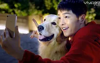 Vivo X7/X7 Plus ra mắt ấn tượng trên tay "đội trưởng" Song Joong Ki