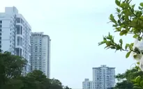 Bất động sản phía Tây Hà Nội khởi sắc