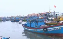 Nghịch lý thừa - thiếu khu neo đậu tàu thuyền ở miền Trung