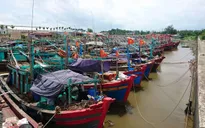 Yêu cầu chủ động đối phó với áp thấp nhiệt đới