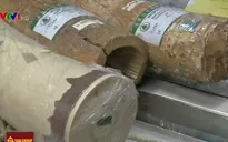 Hong Kong, Trung Quốc lên kế hoạch cấm hoàn toàn buôn bán ngà voi