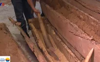 Hơn 4 tấn ngà voi bị bắt giữ trong hơn 1 tháng tại TP.HCM