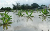 Rủi ro trong cuộc sống của người dân “sống chung với lũ”
