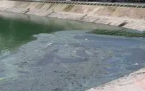Hơn 1.000 hồ ở Hà Nội bị ô nhiễm trầm trọng