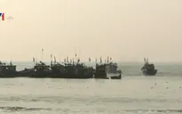 Ngư dân Đà Nẵng ra quân đánh bắt hải sản