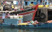 Bộ Y tế công bố hải sản an toàn ở 4 tỉnh miền Trung: Cần thông tin rõ ràng hơn