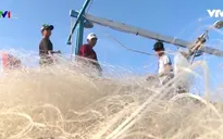 Ngư dân Hà Tĩnh phấn khởi sau mức áp giá bồi thường