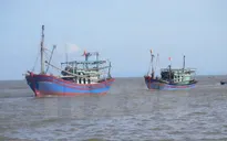 Malaysia bắt giữ nhiều ngư dân Việt Nam