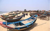 Giám sát việc đền bù cho ngư dân do sự cố môi trường biển