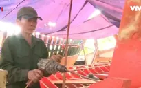 Ngư dân dùng tiền bồi thường tìm sinh kế mới
