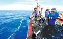 Ngư dân Quảng Ngãi mở biển sau những ngày đầu năm mới
